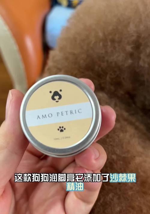 以泰迪脚垫为主题的色彩绚丽的家居装饰品（打造温暖舒适的居家环境，从脚垫开始）