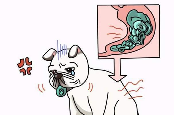 揭秘狗狗拉烂屎吃什么东西的原因（探究狗狗食欲异常与消化问题的关联）