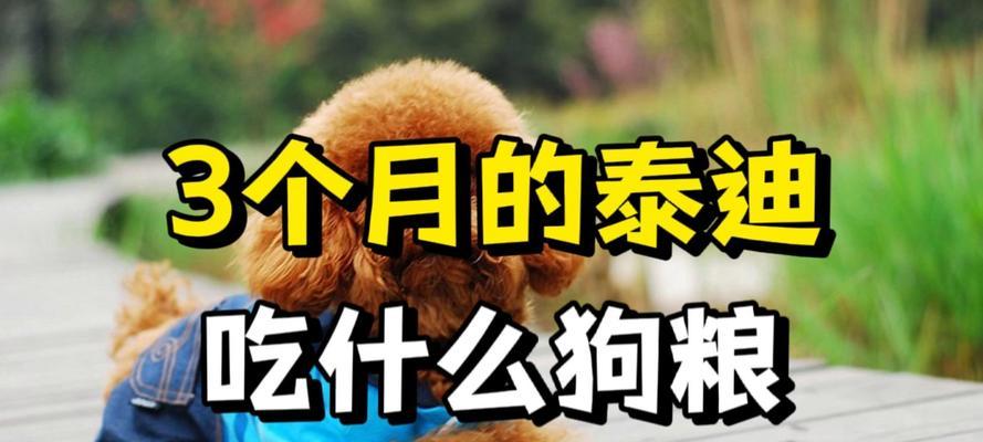 比特的饮食健康