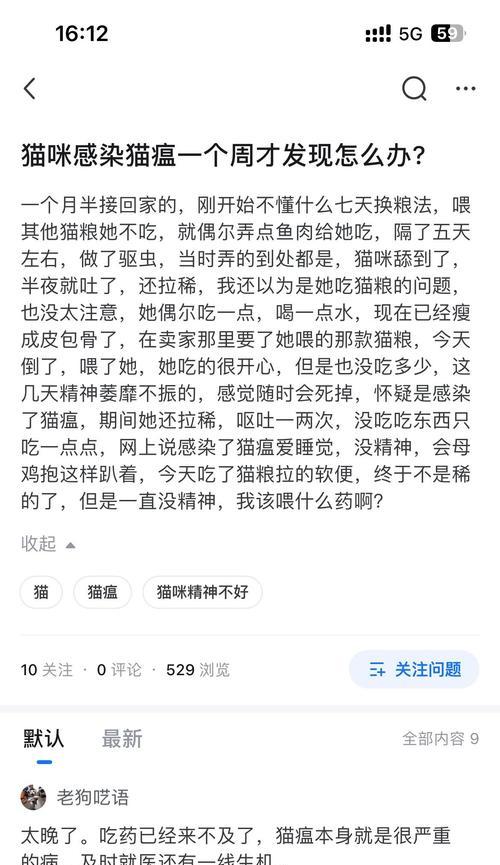 猫瘟的突然爆发及其影响（探索猫瘟的起因、症状和预防方法）