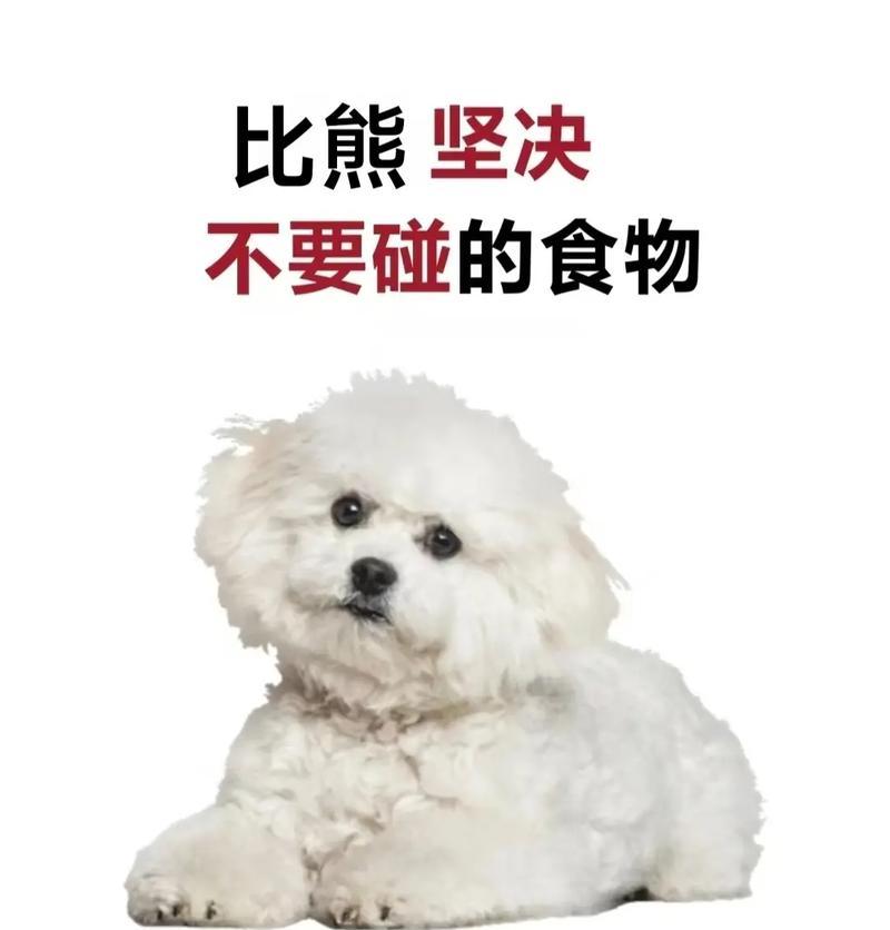 治疗皮肤病的狗应该吃什么食物？（了解适合病狗的营养饮食，让皮肤病远离他们）