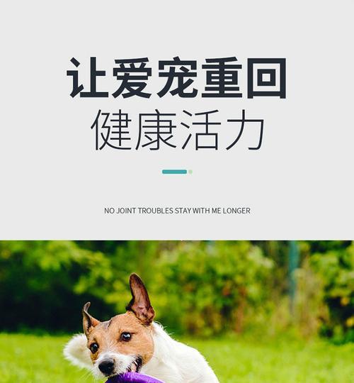 狗拉屎带血的原因及治疗方法（了解狗拉屎带血的病因与治疗，让你的宠物健康快乐）