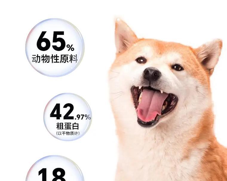 四个月大的狗狗需要什么食物？（合理的饮食保障狗狗的健康成长）