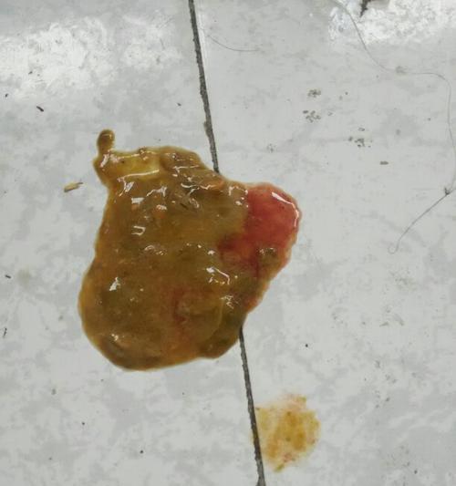 小狗拉稀原因及饮食调理方法（探寻2个月小狗拉稀的根源，有效喂养方法解决问题）