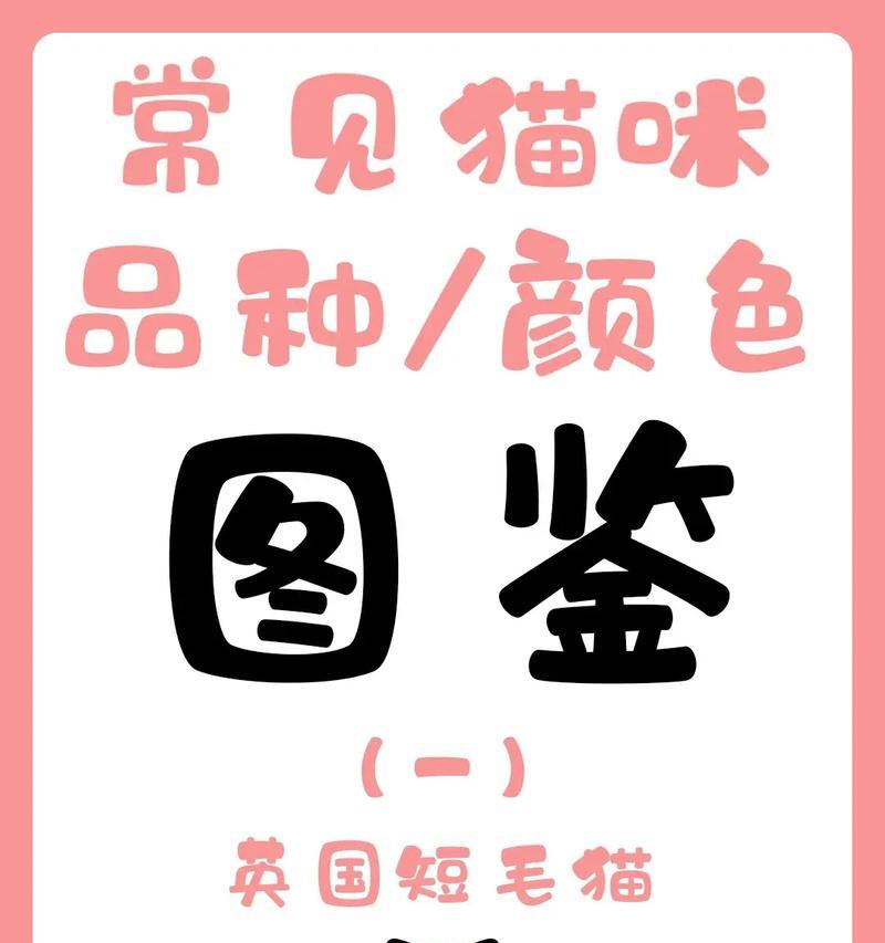 探秘英短双色猫的魅力（了解双色猫的特点和历史，体验它们的温柔和活泼）