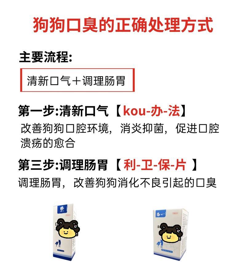 如何给狗狗除口气？（选购适合的食物来改善狗狗口气）