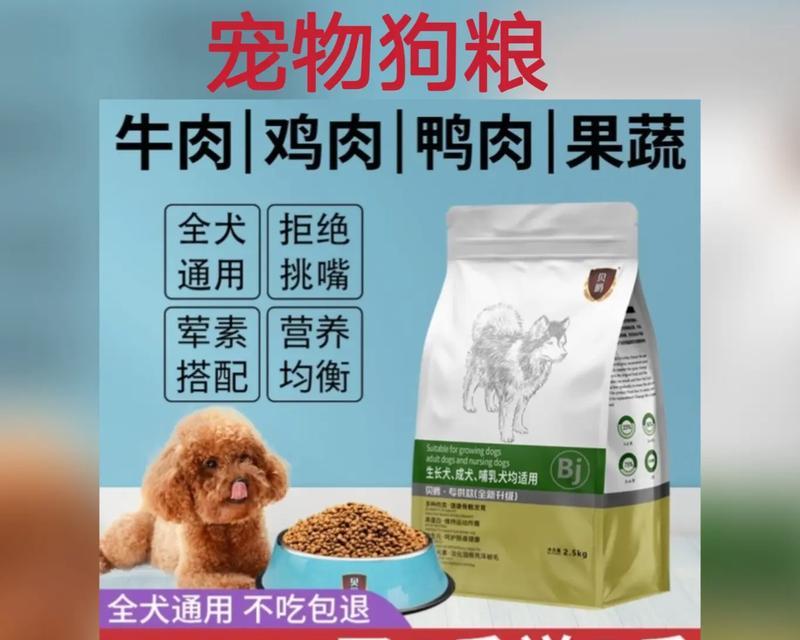 泰迪犬四个月吃什么狗粮？（根据泰迪犬的特点选择合适的狗粮）