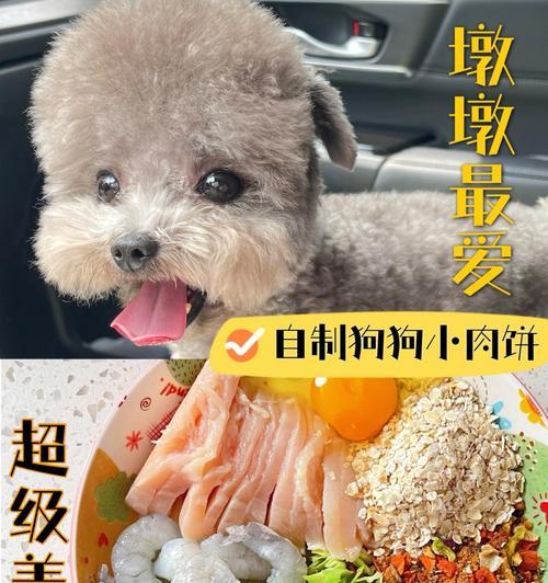 泰迪狗的饮食禁忌（让泰迪狗远离这些食物，它们对它们非常有害！）