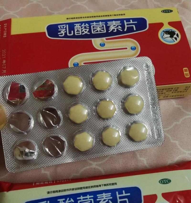 治疗泰迪拉肚子的食物（为宠物泰迪提供舒缓的饮食）