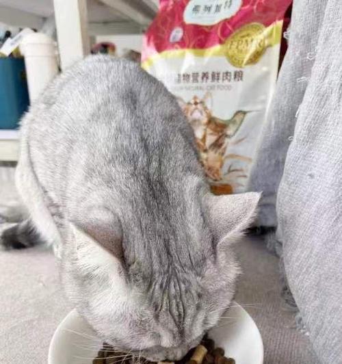绝育后的猫应该吃什么猫粮？（选择适合绝育后猫的营养均衡猫粮）