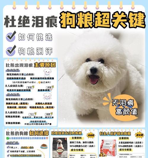 解决泰迪少泪痕问题的牌子狗粮推荐（以泰迪为主的狗粮品牌，）