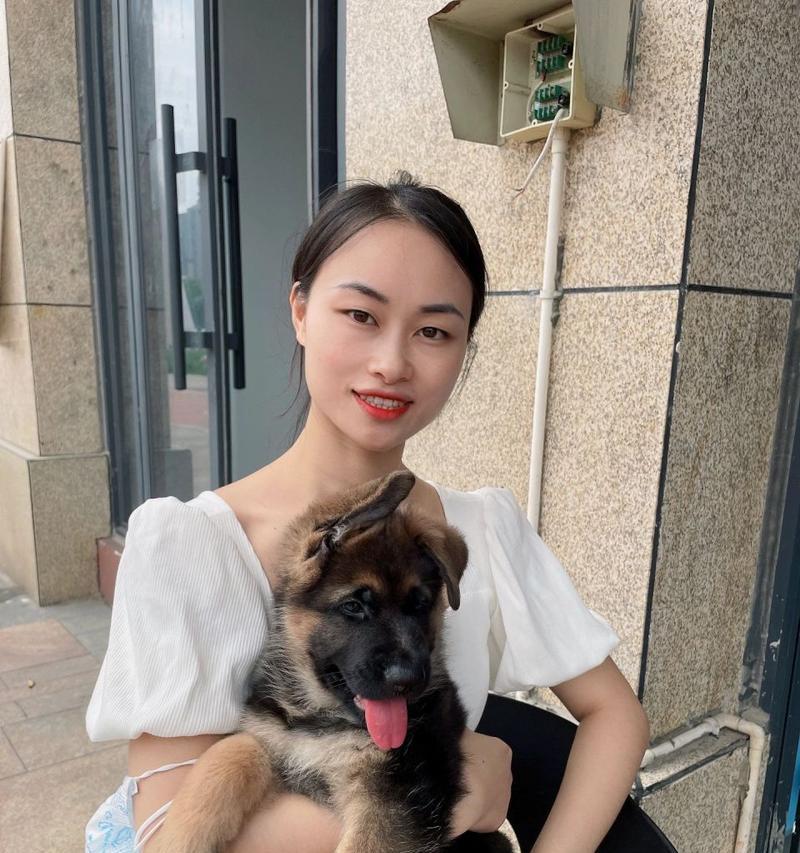 以德牧的品质与特点（为你的德牧起个合适的名字）