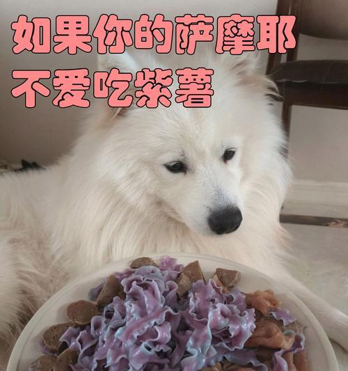 萨摩耶爱咬东西的原因（探寻萨摩耶咬东西的行为背后的动机与解决办法）