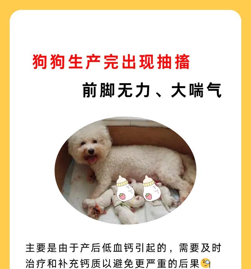 狗狗用力出气的原因（了解狗狗为什么会频繁用力出气）