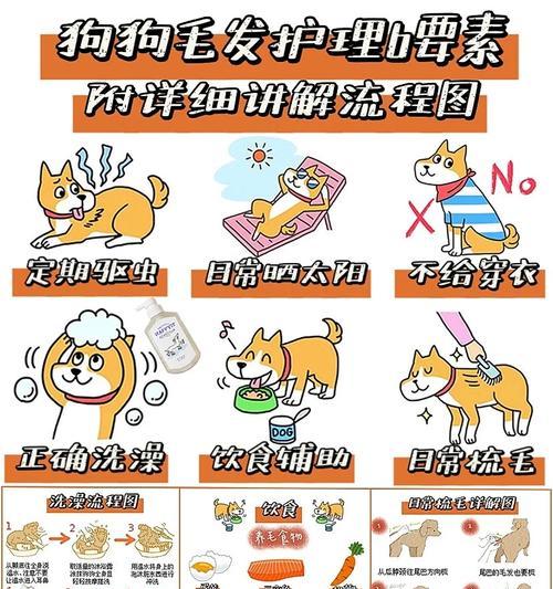 狗狗美毛的秘密武器——健康食物（让你的狗狗拥有亮丽的毛发）