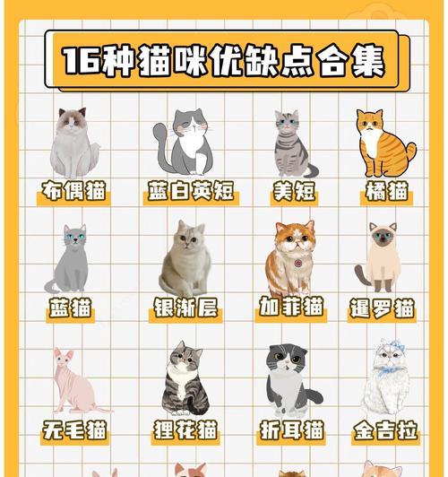 猫的最大缺点（探索猫咪喜欢独处的原因及对人类的影响）