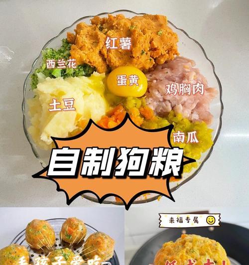 狗吃生鸡蛋的益处（揭秘狗吃生鸡蛋的神奇作用，）