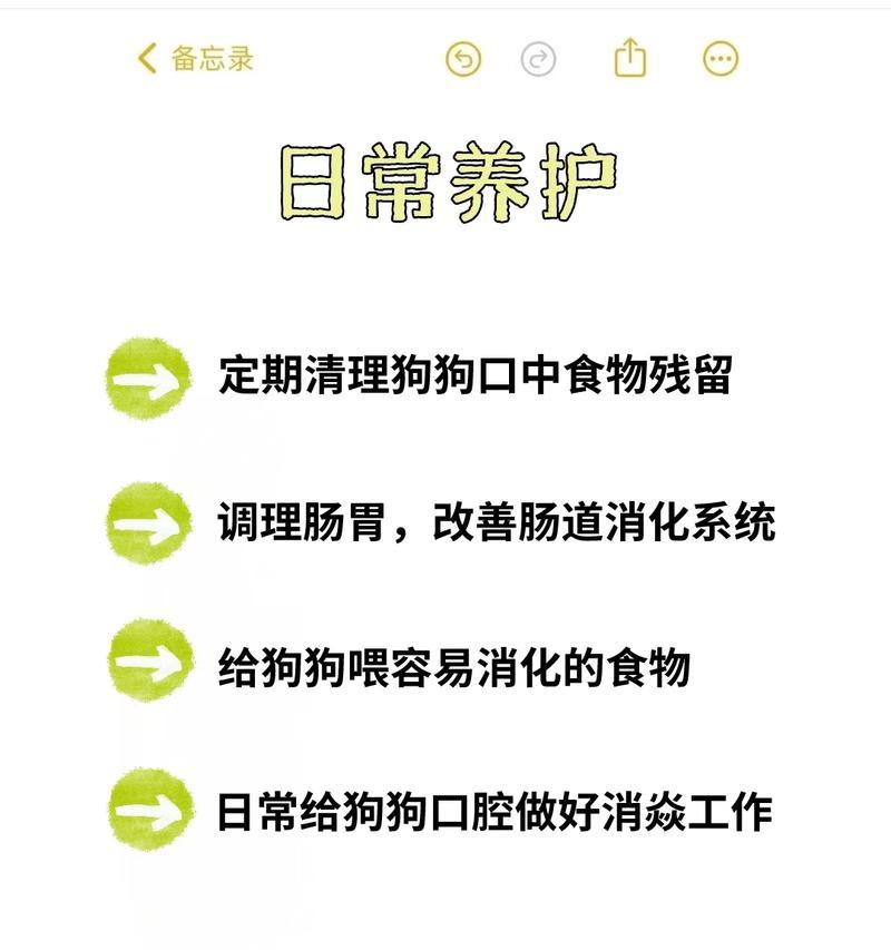 探讨狗狗口臭的原因与解决方法（狗狗口臭可能的原因及如何预防口臭问题）