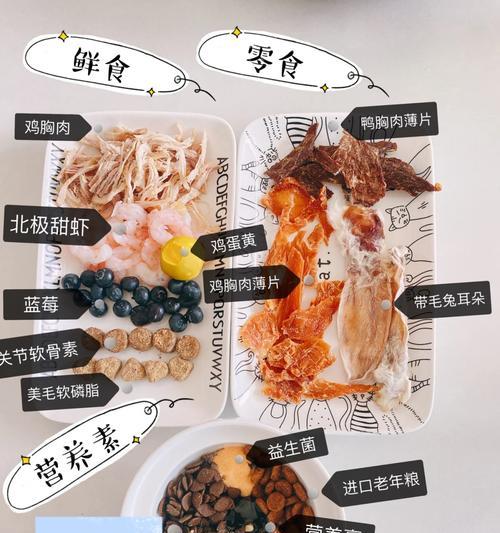 小泰迪禁食水果的原因及注意事项（小泰迪不能吃哪些水果？如何正确喂养它们？）