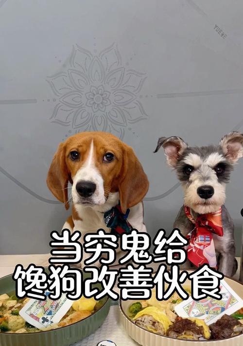 养狗繁育后的饮食保健（小狗产后饮食的重要性及好处）