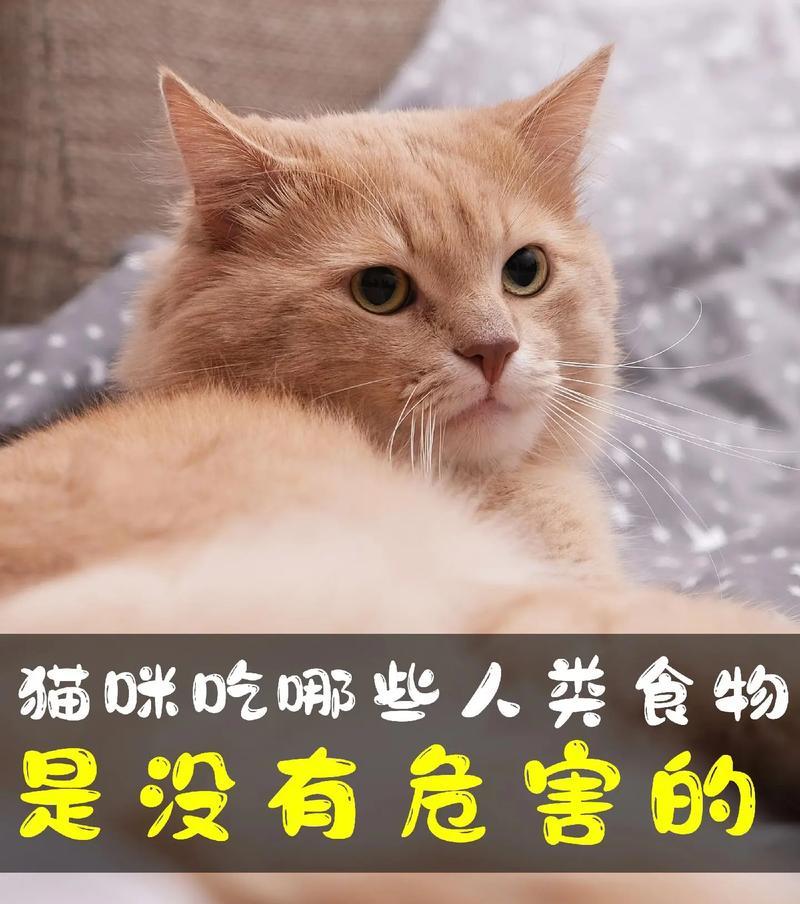 猫的饮食需求与最佳食物选择（猫咪饮食——喂养你的宠物的正确方式）