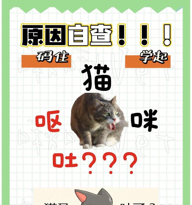 猫为什么经常吐还很瘦？（揭秘猫吐和消瘦的原因及解决方法）