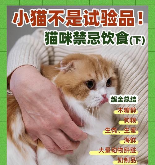 小猫产后需要合理的饮食安排（为母猫及幼猫提供营养均衡的食物）