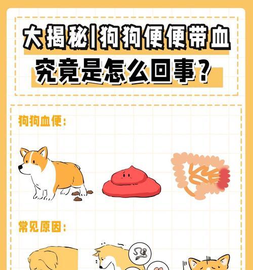 幼狗大便颜色的意义与健康指引（探索幼狗大便颜色的变化及其健康隐患）