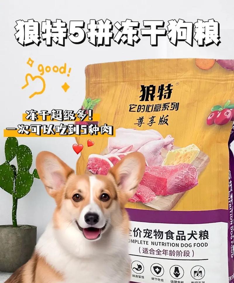 给幼犬选择适合的狗粮（为你的小狗选择最佳营养品牌）