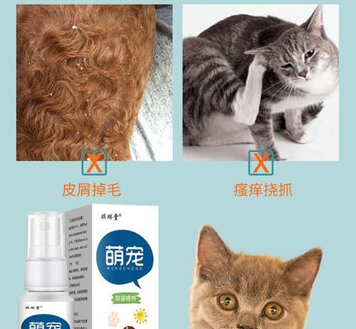 狗狗真菌感染的针剂治疗方式（以狗狗得了真菌打什么针为主题的治疗方法介绍）