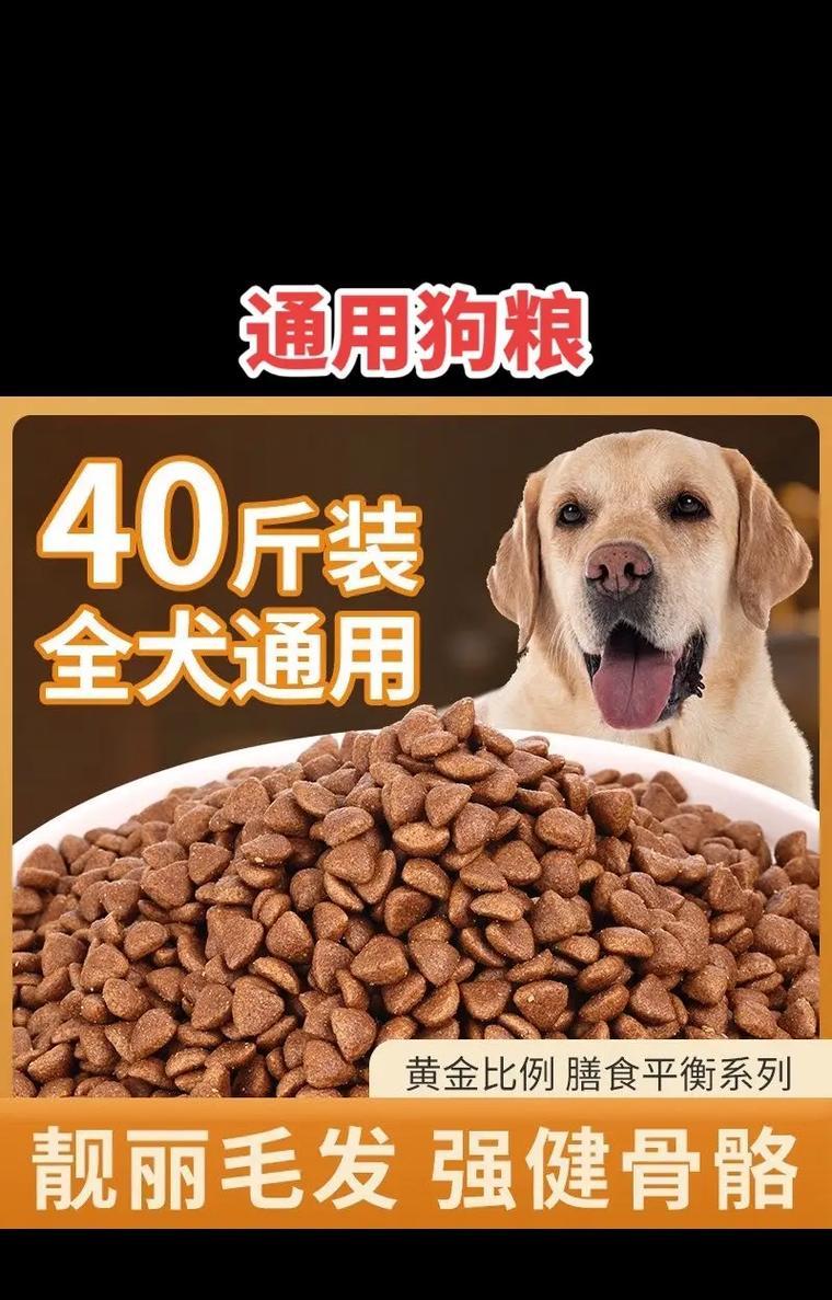 萨摩耶狗狗的饮食需求及适宜狗粮推荐（一起来了解萨摩耶的饮食需求，选择合适的狗粮是关键）