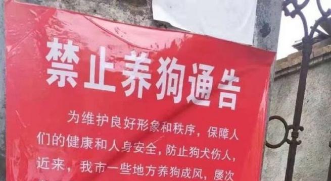狗为什么会咬人？（深入探究狗咬人的原因和预防方法）