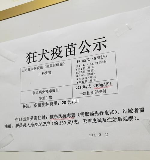 宠物犬狂犬疫苗接种时间表及注意事项（保护你的小狗免受狂犬病的侵害，了解正确的接种时间和注意事项）
