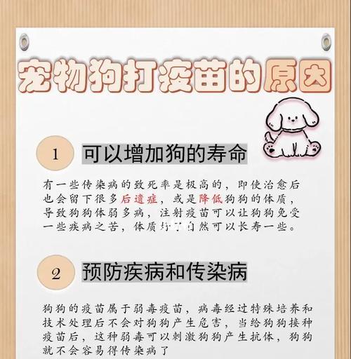 狗常见疾病解析（了解狗病，守护爱宠健康）