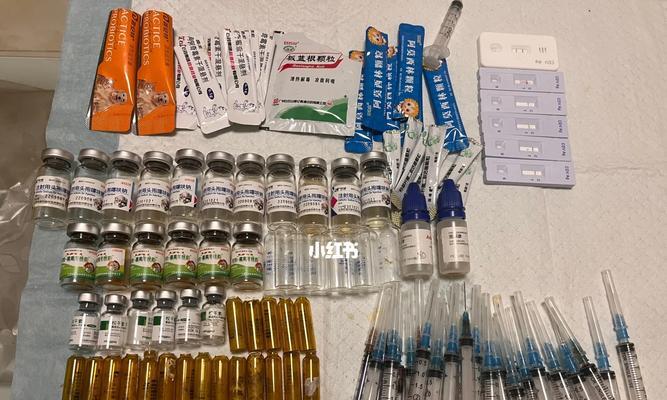 狗狗喝板蓝根需要多长时间？（探究狗狗喝板蓝根的持续时间和剂量）