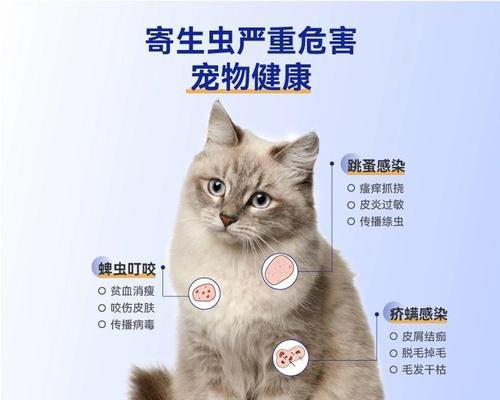 幼猫驱虫时机与方法（宝宝猫如何进行第一次驱虫？）