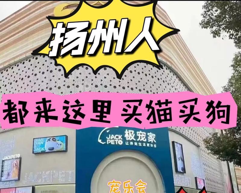 江苏宠物市场——与宠物共度美好时光（探寻江苏各地优秀宠物市场，畅享宠物爱好者的乐园）