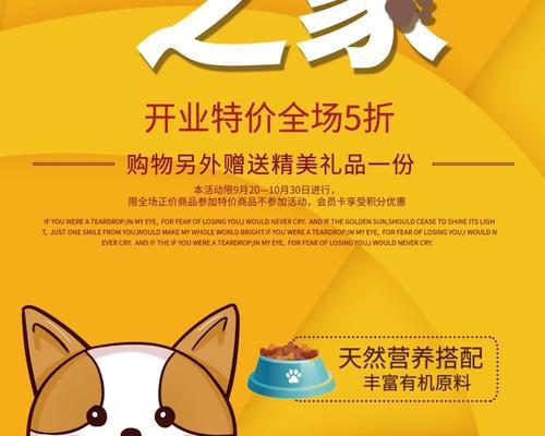 宠物店活动（与宠物共享美好时光，打造温馨家庭）