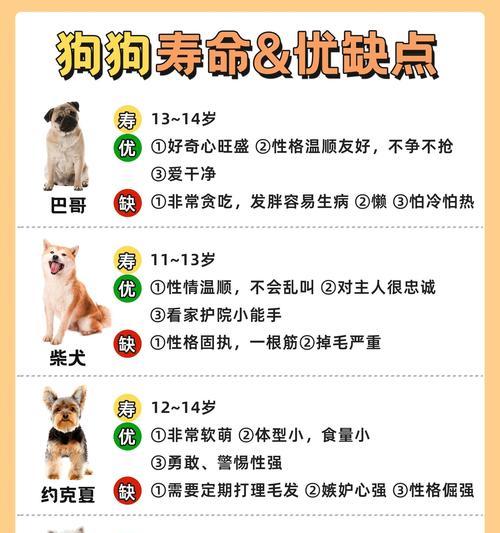 小狗配种后多久能看出怀孕情况？（探究小狗配种后产生的身体变化和怀孕特征）