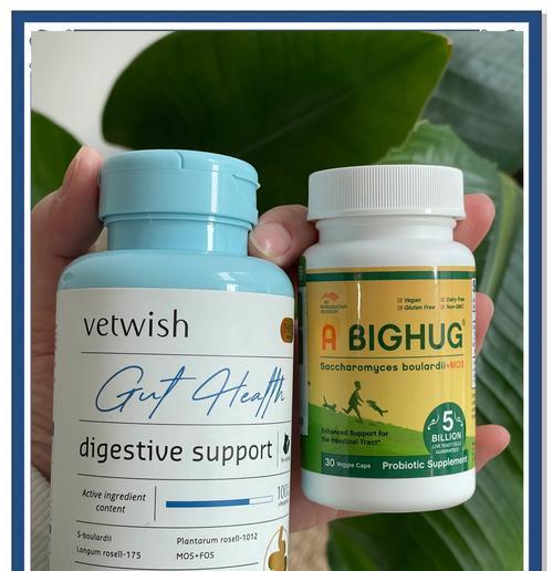 狗狗益生菌（了解狗狗益生菌的组成与功能）