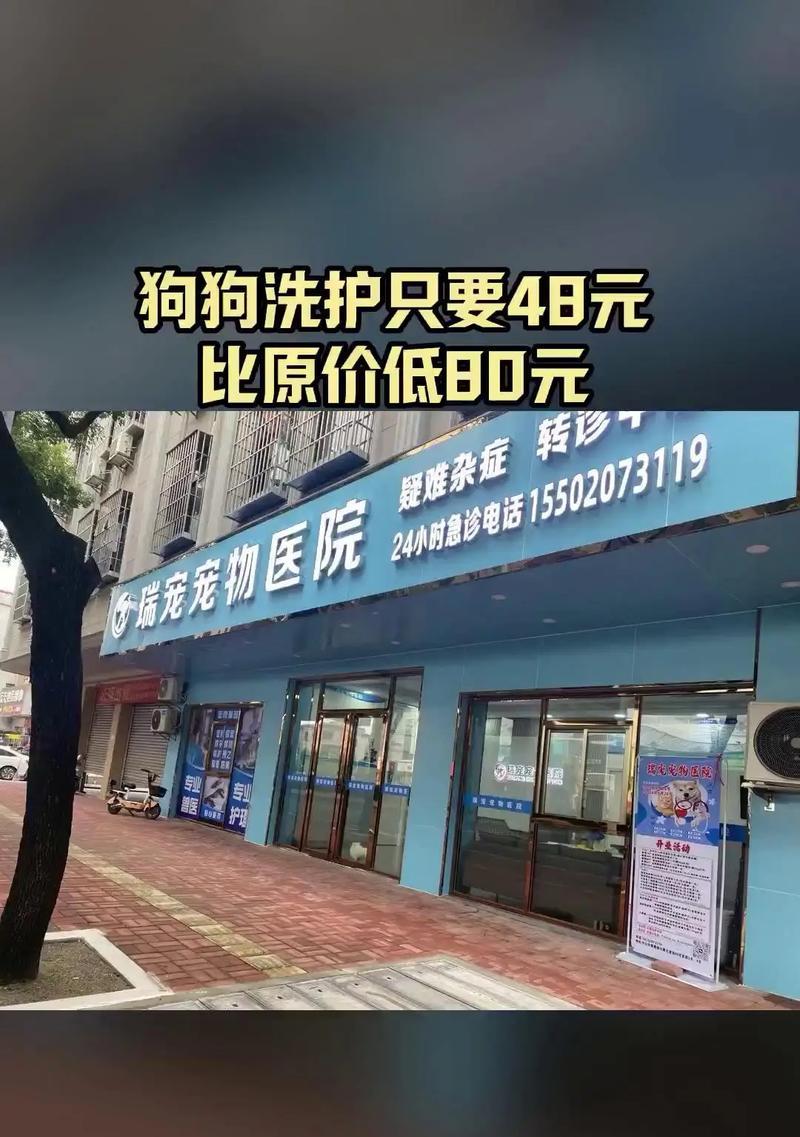 选择宠物狗狗医院，这些牌子最好！（了解宠物狗狗医院的可靠牌子，为你的爱宠选择最佳医疗服务）