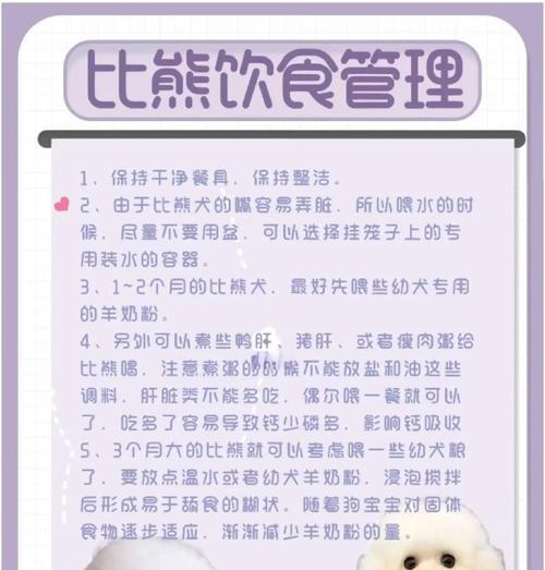 比熊犬的毛需要多久才能长出来？（了解比熊犬毛发生长周期以及促进毛发生长的方法）