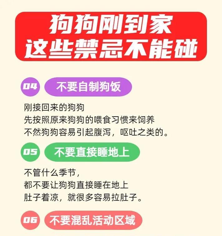 六大禁忌，为你要养狗的人分享（细心呵护，让宠物狗幸福健康）