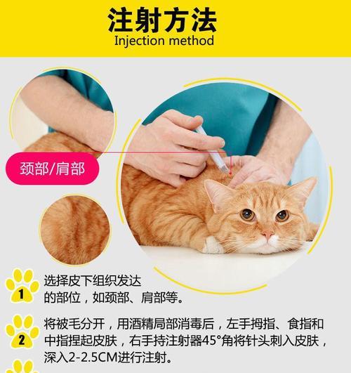 保护宠物免受寄生虫的侵害（驱虫和预防狂犬病是爱宠人士的责任）
