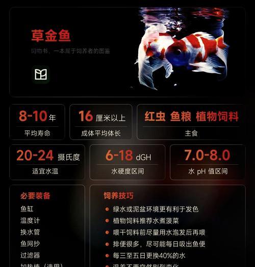 如何判断金鱼什么时候要产卵？（金鱼产卵的关键指标和判断方法）
