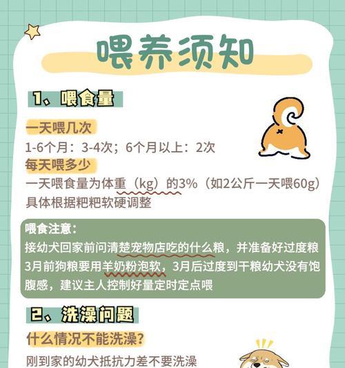 金毛犬的科学喂养指南（年龄段食物需求与喂养注意事项）