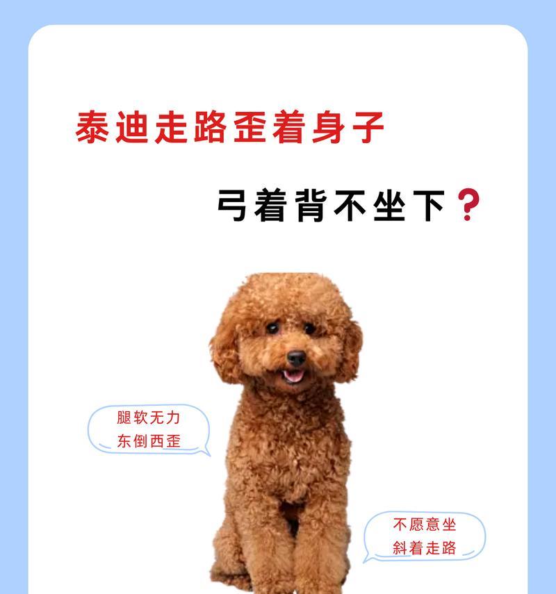 探究泰迪咬人的原因及解决方法（剖析泰迪咬人现象的两个主要原因和主人的应对策略）