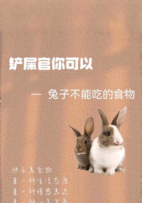 兔子的饮食习惯与饲养技巧（科学合理地喂养兔子，让它健康快乐成长）