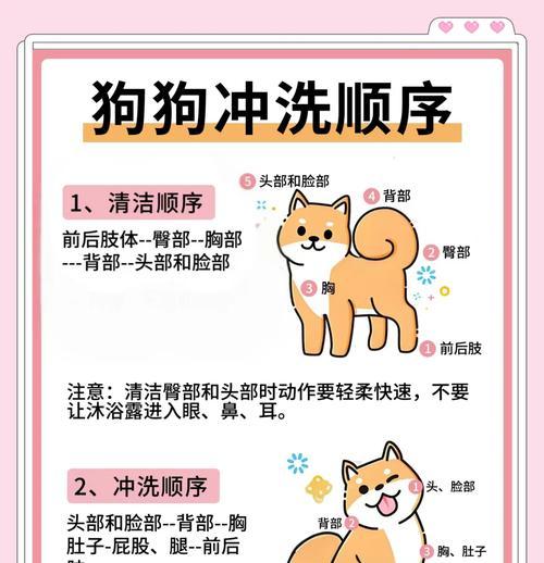 小狗能洗澡的最佳时机（探讨小狗适宜洗澡的时间和频率）