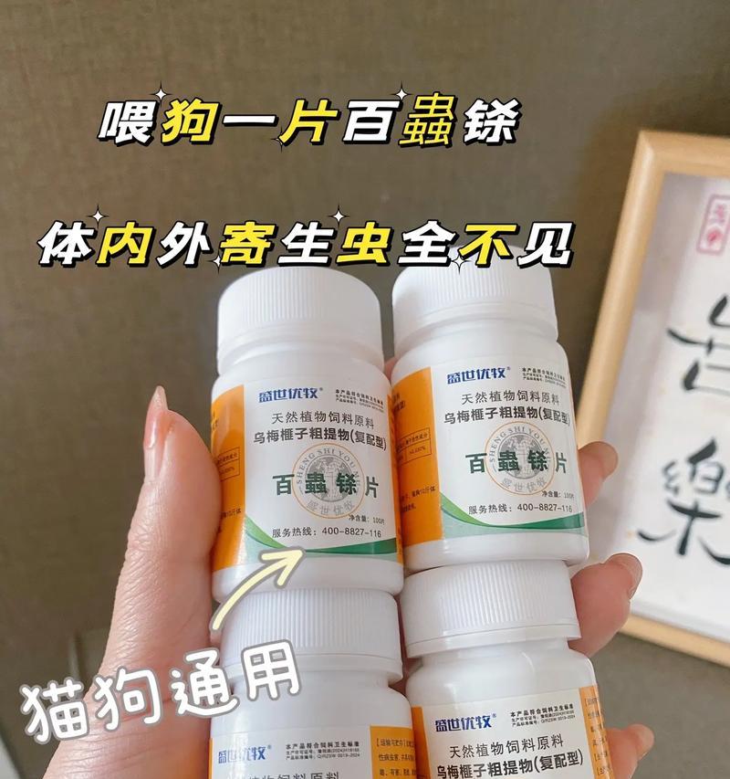 狗狗为什么越养越瘦？（寄生虫是罪魁祸首）